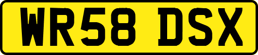 WR58DSX