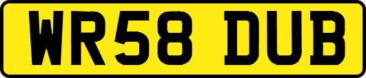 WR58DUB