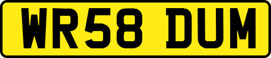 WR58DUM