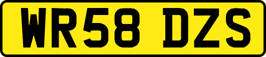 WR58DZS