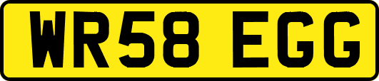 WR58EGG