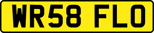 WR58FLO