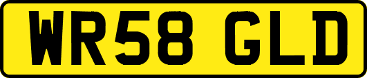 WR58GLD