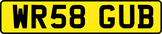 WR58GUB