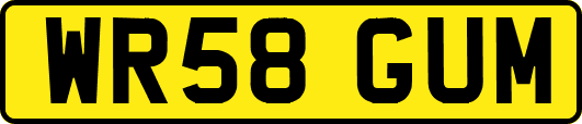WR58GUM