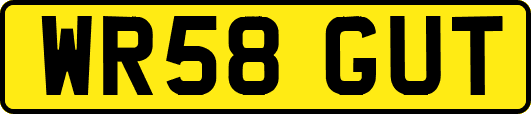WR58GUT