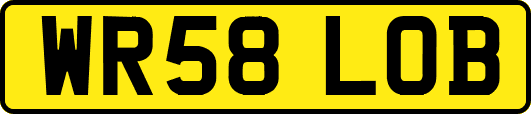WR58LOB