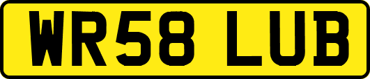 WR58LUB