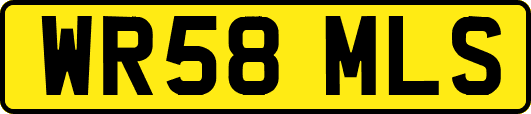 WR58MLS