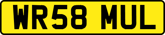 WR58MUL