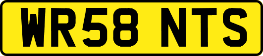 WR58NTS