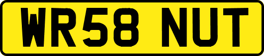 WR58NUT