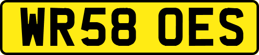 WR58OES