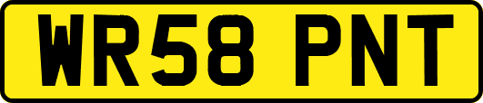 WR58PNT