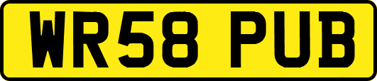 WR58PUB