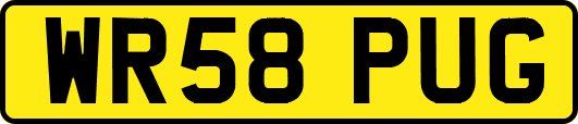WR58PUG