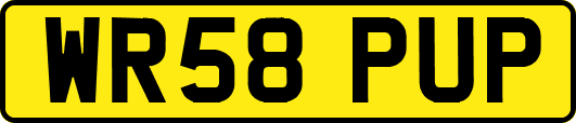 WR58PUP