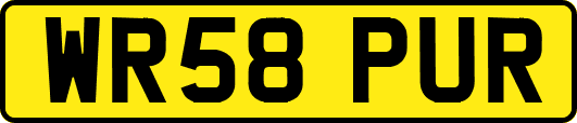 WR58PUR