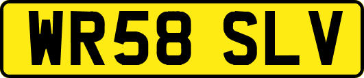 WR58SLV