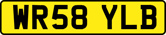 WR58YLB