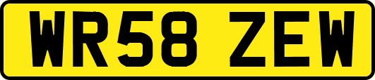 WR58ZEW