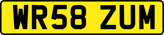WR58ZUM