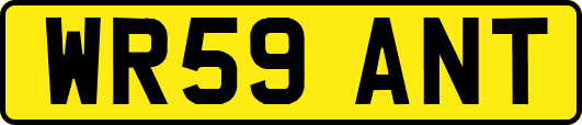 WR59ANT