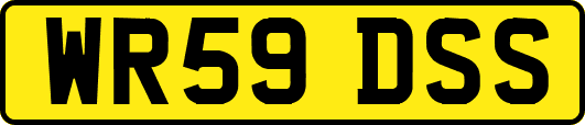 WR59DSS
