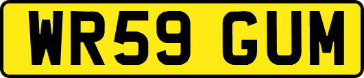 WR59GUM