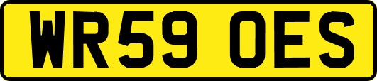 WR59OES