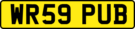 WR59PUB