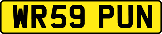 WR59PUN