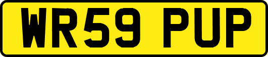 WR59PUP