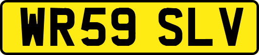 WR59SLV
