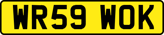 WR59WOK