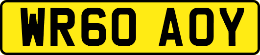 WR60AOY
