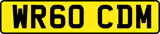 WR60CDM