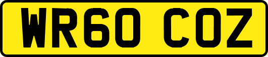WR60COZ