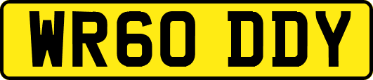 WR60DDY