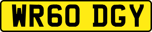 WR60DGY