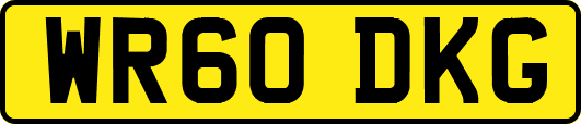 WR60DKG