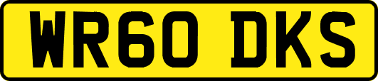 WR60DKS