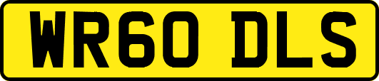 WR60DLS