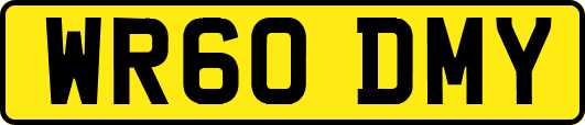 WR60DMY