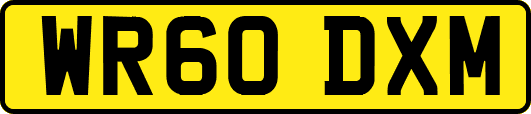 WR60DXM
