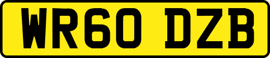 WR60DZB