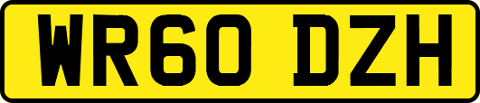 WR60DZH
