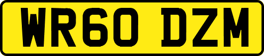 WR60DZM