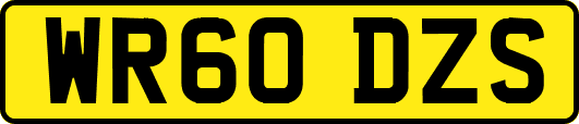 WR60DZS
