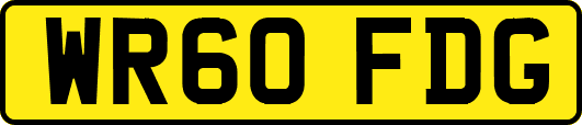 WR60FDG